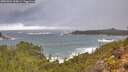 ./images/calvert/foggy-cove/20251024/foggy-cove20251024_105001M.jpg