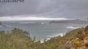 ./images/calvert/foggy-cove/20251024/foggy-cove20251024_110501M.jpg