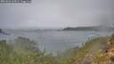 ./images/calvert/foggy-cove/20251026/foggy-cove20251026_165002M.jpg