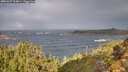 ./images/calvert/foggy-cove/20251027/foggy-cove20251027_104001M.jpg