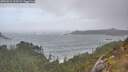 ./images/calvert/foggy-cove/20251031/foggy-cove20251031_123502M.jpg