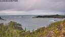 ./images/calvert/foggy-cove/20251103/foggy-cove20251103_133001M.jpg
