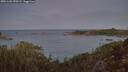 ./images/calvert/foggy-cove/20251104/foggy-cove20251104_070501M.jpg