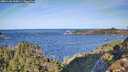 ./images/calvert/foggy-cove/20251104/foggy-cove20251104_095001M.jpg