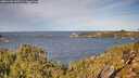 ./images/calvert/foggy-cove/20251104/foggy-cove20251104_103501M.jpg
