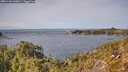 ./images/calvert/foggy-cove/20251104/foggy-cove20251104_123001M.jpg