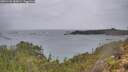 ./images/calvert/foggy-cove/20251105/foggy-cove20251105_085001M.jpg