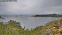 ./images/calvert/foggy-cove/20251105/foggy-cove20251105_142501M.jpg