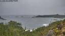./images/calvert/foggy-cove/20251108/foggy-cove20251108_075002M.jpg