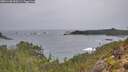 ./images/calvert/foggy-cove/20251108/foggy-cove20251108_090501M.jpg
