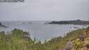 ./images/calvert/foggy-cove/20251108/foggy-cove20251108_092002M.jpg