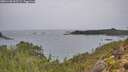 ./images/calvert/foggy-cove/20251108/foggy-cove20251108_093501M.jpg