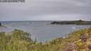 ./images/calvert/foggy-cove/20251108/foggy-cove20251108_115501M.jpg