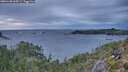 ./images/calvert/foggy-cove/20251108/foggy-cove20251108_164501M.jpg