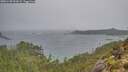./images/calvert/foggy-cove/20251109/foggy-cove20251109_094502M.jpg