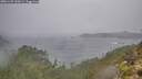./images/calvert/foggy-cove/20251109/foggy-cove20251109_120501M.jpg