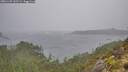 ./images/calvert/foggy-cove/20251109/foggy-cove20251109_132501M.jpg