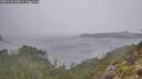 ./images/calvert/foggy-cove/20251109/foggy-cove20251109_133001M.jpg