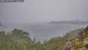 ./images/calvert/foggy-cove/20251109/foggy-cove20251109_133501M.jpg