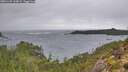 ./images/calvert/foggy-cove/20251109/foggy-cove20251109_144002M.jpg