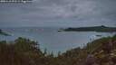 ./images/calvert/foggy-cove/20251110/foggy-cove20251110_072501M.jpg