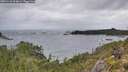 ./images/calvert/foggy-cove/20251110/foggy-cove20251110_113001M.jpg