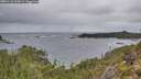 ./images/calvert/foggy-cove/20251110/foggy-cove20251110_114501M.jpg
