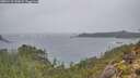 ./images/calvert/foggy-cove/20251110/foggy-cove20251110_141002M.jpg