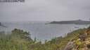 ./images/calvert/foggy-cove/20251110/foggy-cove20251110_142001M.jpg