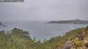 ./images/calvert/foggy-cove/20251110/foggy-cove20251110_143501M.jpg