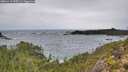 ./images/calvert/foggy-cove/20251112/foggy-cove20251112_095501M.jpg