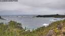 ./images/calvert/foggy-cove/20251112/foggy-cove20251112_104501M.jpg