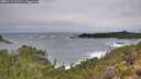 ./images/calvert/foggy-cove/20251112/foggy-cove20251112_111501M.jpg