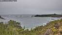./images/calvert/foggy-cove/20251112/foggy-cove20251112_123501M.jpg