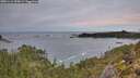 ./images/calvert/foggy-cove/20251114/foggy-cove20251114_075001M.jpg