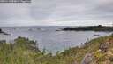 ./images/calvert/foggy-cove/20251114/foggy-cove20251114_090001M.jpg