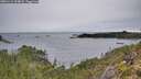 ./images/calvert/foggy-cove/20251114/foggy-cove20251114_104002M.jpg