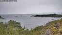 ./images/calvert/foggy-cove/20251114/foggy-cove20251114_112001M.jpg