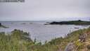 ./images/calvert/foggy-cove/20251114/foggy-cove20251114_112501M.jpg
