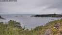 ./images/calvert/foggy-cove/20251114/foggy-cove20251114_124001M.jpg