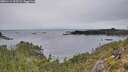 ./images/calvert/foggy-cove/20251114/foggy-cove20251114_125502M.jpg