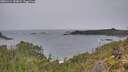./images/calvert/foggy-cove/20251114/foggy-cove20251114_143001M.jpg