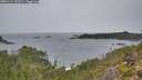 ./images/calvert/foggy-cove/20251114/foggy-cove20251114_143501M.jpg
