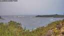 ./images/calvert/foggy-cove/20251115/foggy-cove20251115_081001M.jpg
