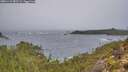 ./images/calvert/foggy-cove/20251115/foggy-cove20251115_082501M.jpg