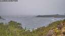 ./images/calvert/foggy-cove/20251115/foggy-cove20251115_083002M.jpg
