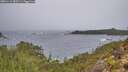 ./images/calvert/foggy-cove/20251115/foggy-cove20251115_083501M.jpg