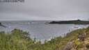 ./images/calvert/foggy-cove/20251115/foggy-cove20251115_103501M.jpg