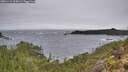 ./images/calvert/foggy-cove/20251115/foggy-cove20251115_104501M.jpg