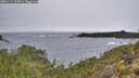 ./images/calvert/foggy-cove/20251115/foggy-cove20251115_105001M.jpg